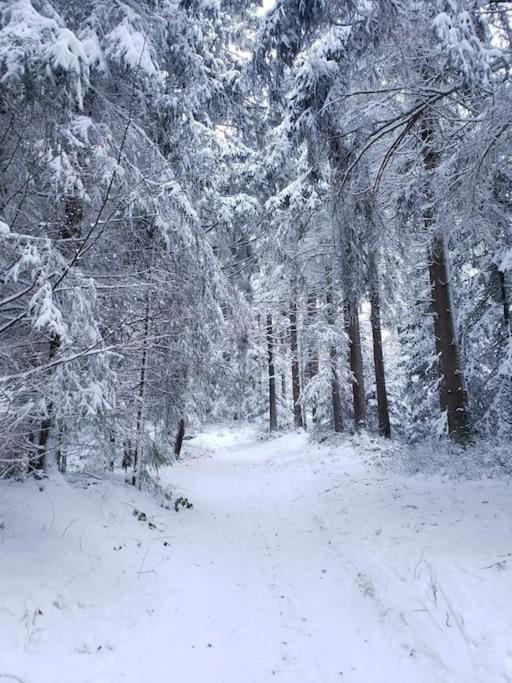 Wohnung Im Schoenen Fichtelgebirge Marktredwitz Extérieur photo
