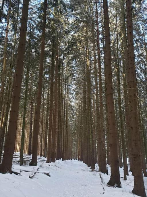 Wohnung Im Schoenen Fichtelgebirge Marktredwitz Extérieur photo